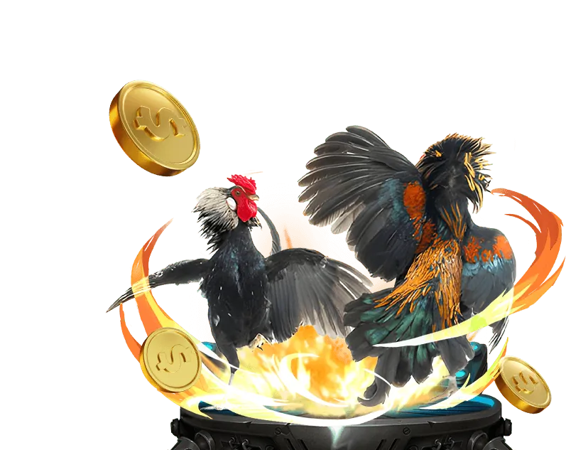 Chương trình VIP bet vnd