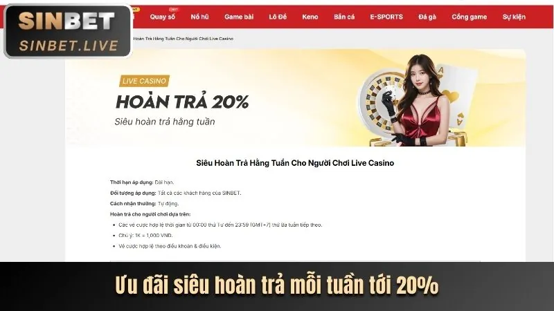 Người chơi chịu trách nhiệm về rủi ro cá cược trên bet vnd